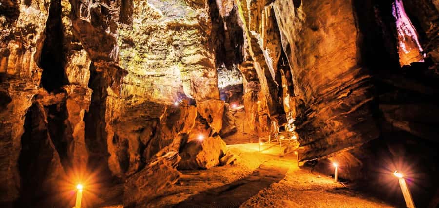 From Johannesburg: Cradle of Humankind Tour - Key points to know before you book