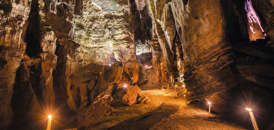 From Johannesburg: Cradle of Humankind Tour - Why the Cradle of Humankind matters