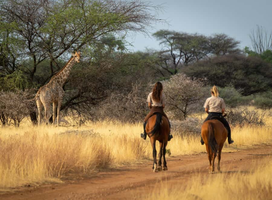 From Johannesburg: Horse-Riding Safari and Cable Car Tour - Why the horse safari is the heart of the day