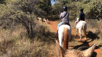Horse-Riding Safari and Cable Car Tour
