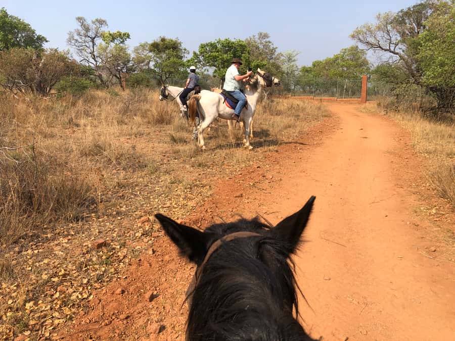 From Johannesburg: Horse-Riding Safari and Cable Car Tour - Meeting antelope and giraffe on horseback