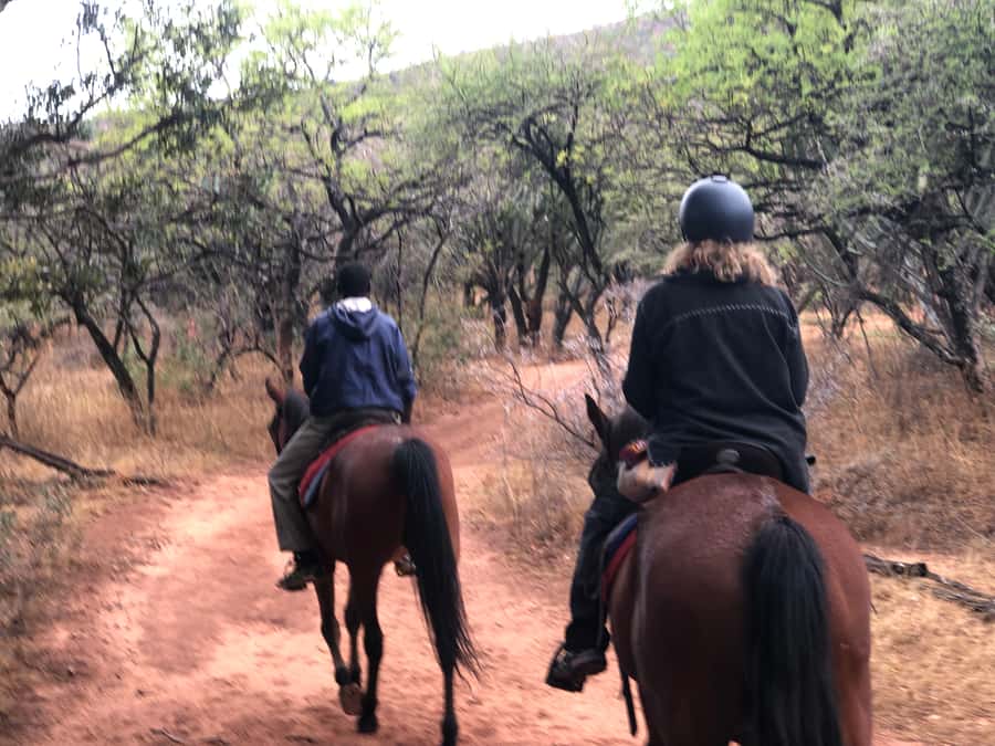 From Johannesburg: Horse-Riding Safari and Cable Car Tour - The short transfer to the cableway