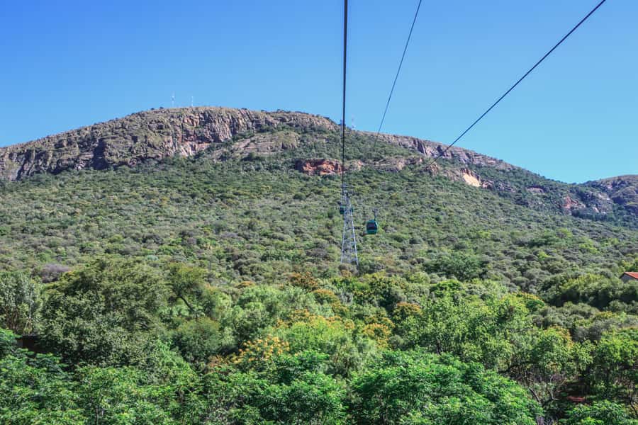 From Johannesburg: Horse-Riding Safari and Cable Car Tour - Who should book this experience?