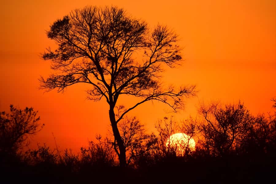 From Johannesburg: Kruger National Park 3-Day Safari - The road from Johannesburg to Kruger