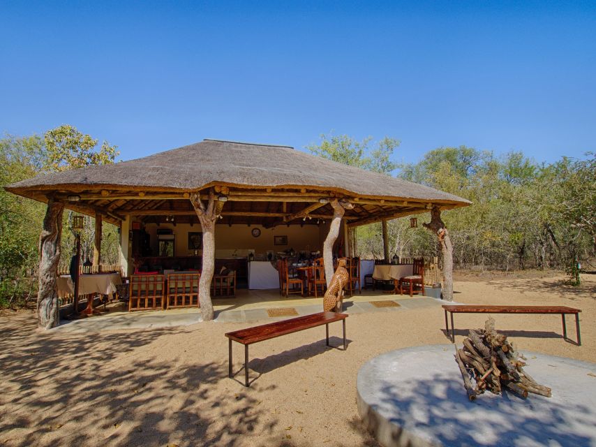 From Johannesburg: Kruger National Park 4-Day Luxury Safari - Day three: a full day inside Kruger National Park