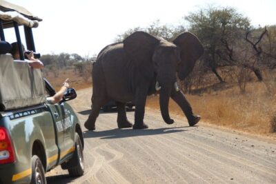 Kruger National Park 5-Day Luxury Safari