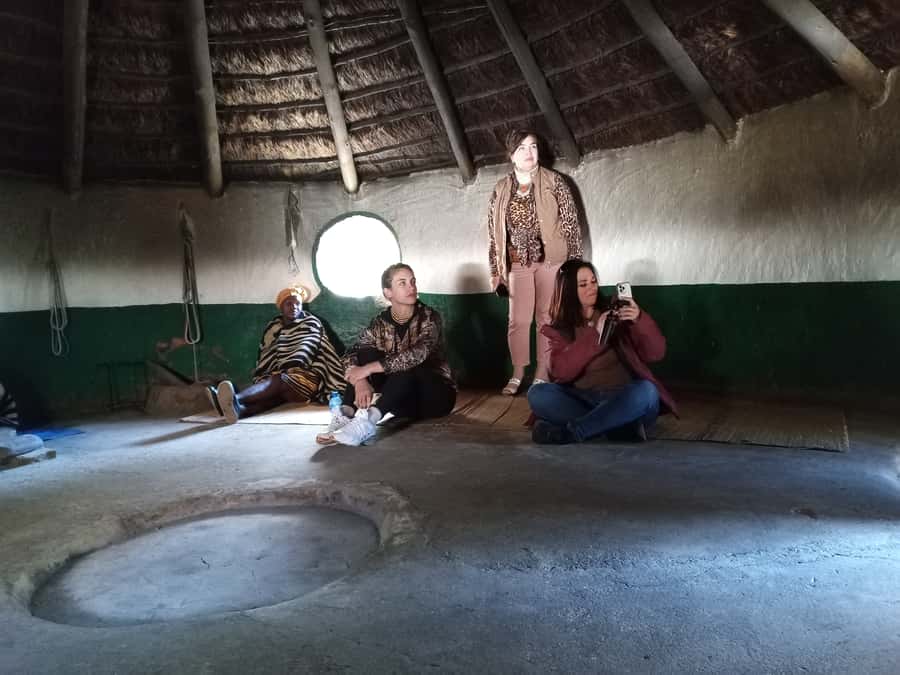 From Johannesburg: Lesedi Cultural Village & Lion Park Tour - Why This Johannesburg Day Trip Works