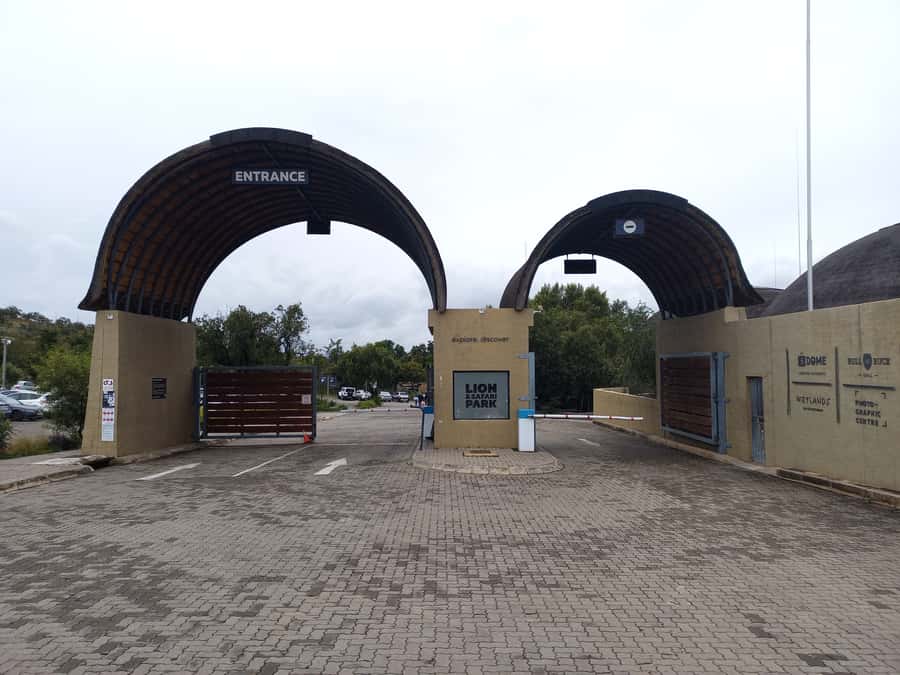 From Johannesburg: Lesedi Cultural Village & Lion Park Tour - Lion and Safari Park: Animals in a Managed Setting