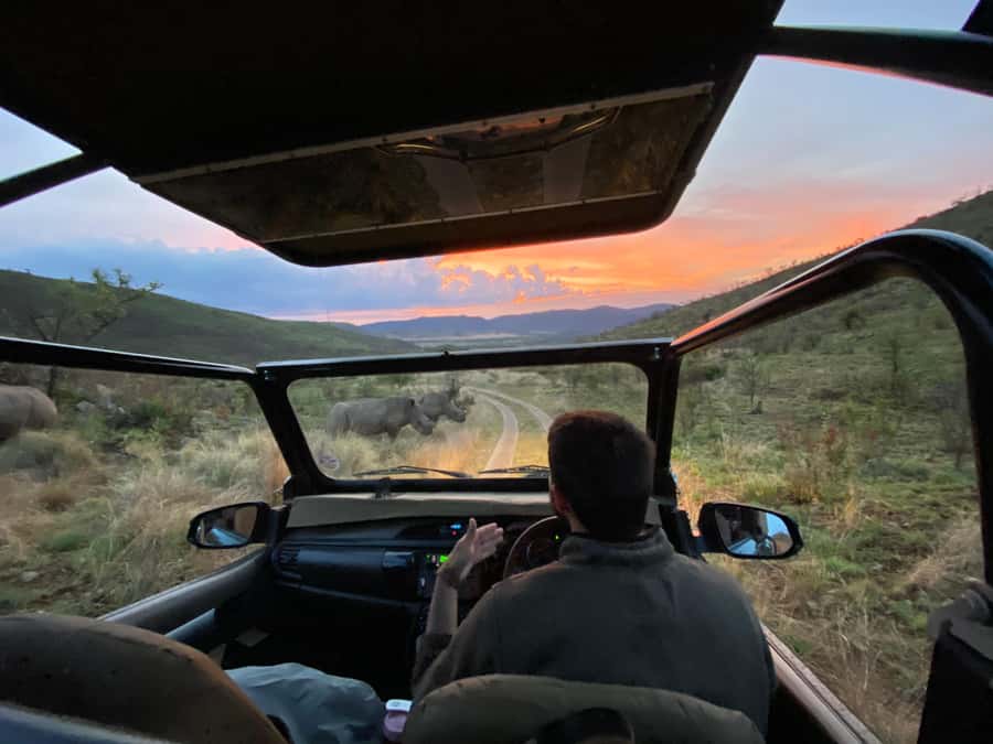 From Johannesburg: Pilanesberg Nature Reserve Game Safari - Why Pilanesberg works as a Johannesburg safari