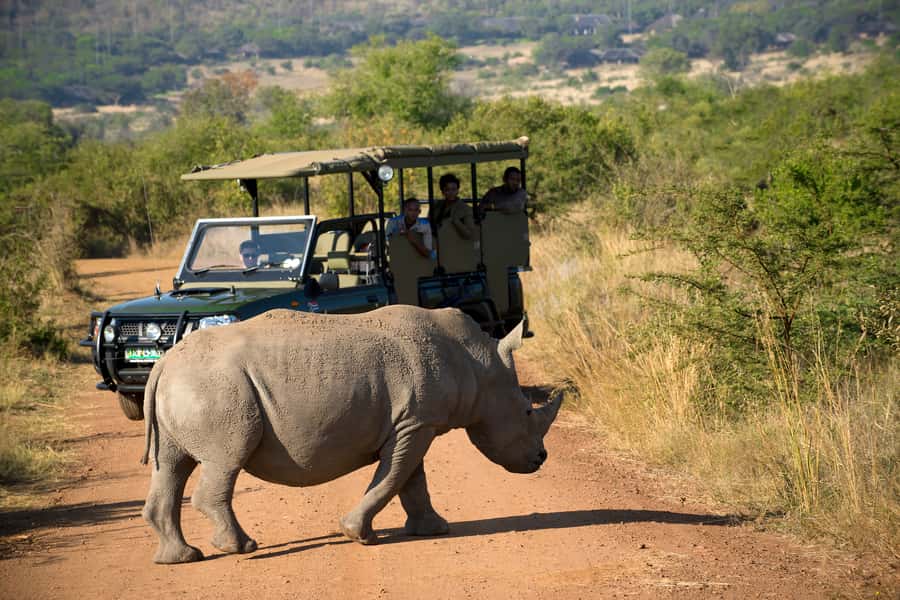 From Johannesburg: Pilanesberg Nature Reserve Game Safari - Entering Pilanesberg for the first 2.5-hour drive