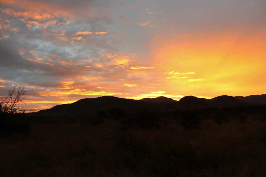 From Johannesburg: Pilanesberg Nature Reserve Game Safari - How close are the Big Five sightings?