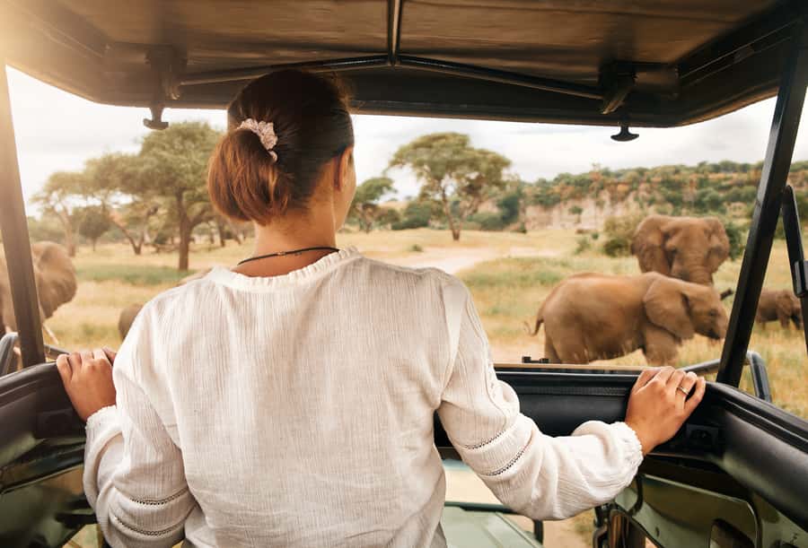 From Johannesburg: Pilanesberg Wildlife Safari - Lunch as a pause, not a major attraction