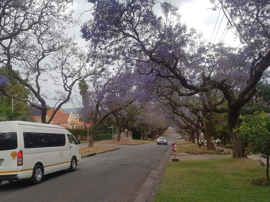 From Johannesburg: Pretoria Half Day Tour - Why Pretoria makes a useful half-day trip