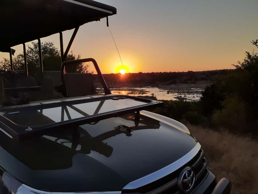From Malelane: Half Day Kruger Park Wildlife Safari - Why this six-hour Kruger safari works well
