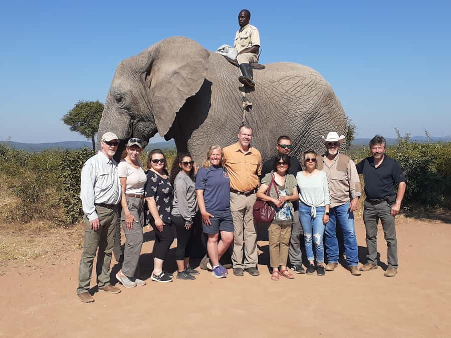 From Malelane: Half Day Kruger Park Wildlife Safari - Entering the park and beginning the animal search