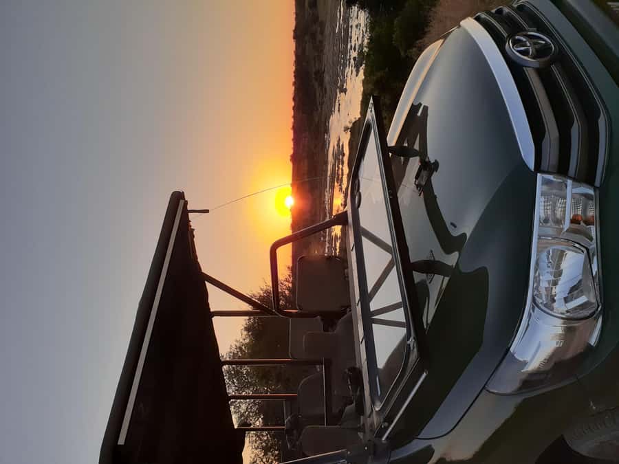 From Malelane: Kruger National Park Full-Day Safari - What the $137 price really covers