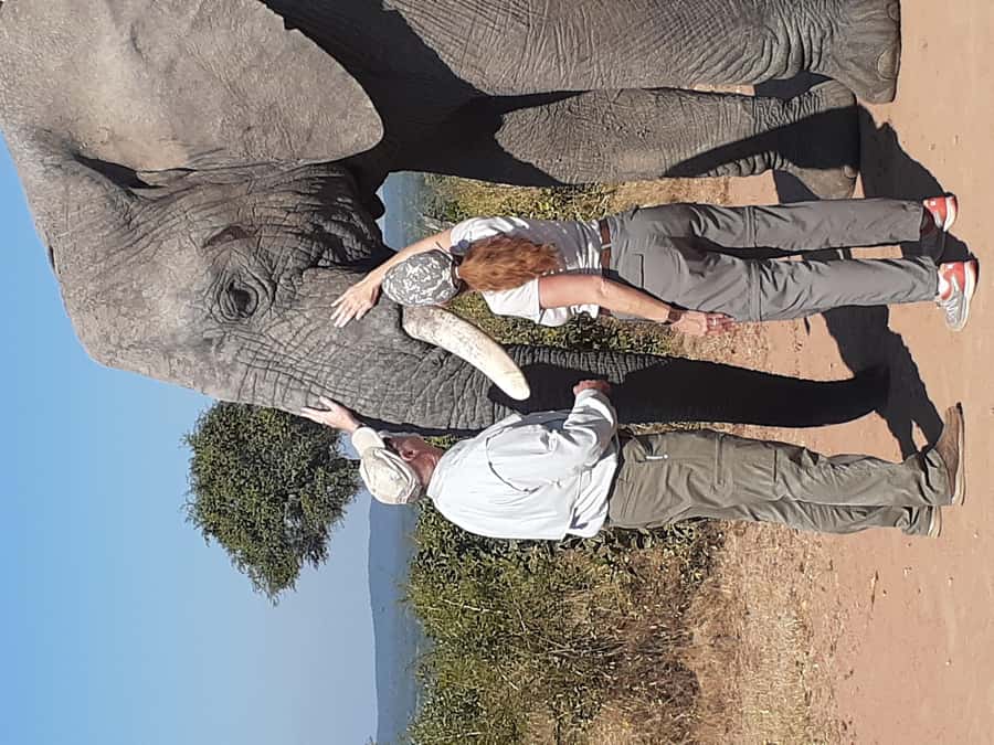 From Malelane: Kruger National Park Full-Day Safari - How the guide can shape the day