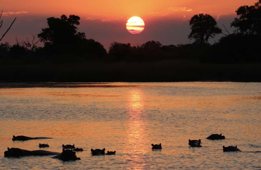 From Marloth Park: Sunset River Cruise Safari - The launch and the first stretch