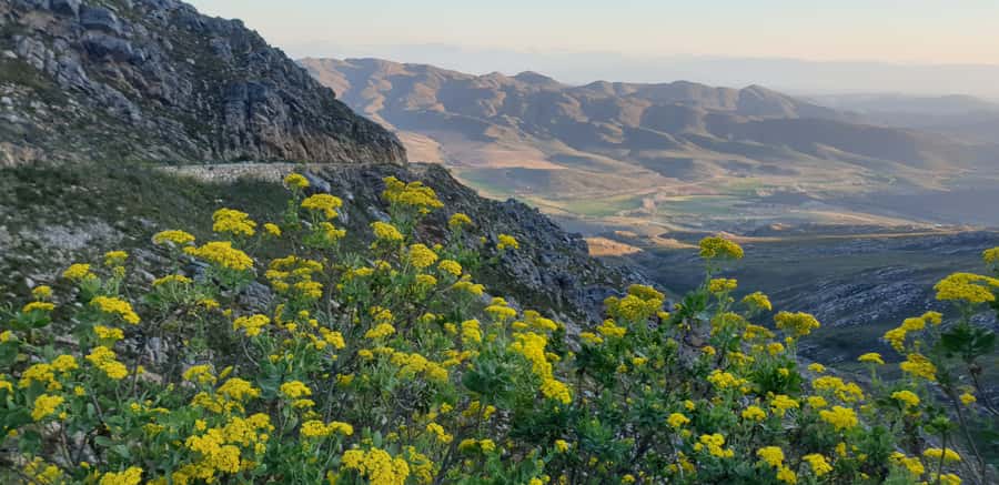 From Oudtshoorn: Full-Day Private Swartberg Mountain Tour - Finishing in De Rust before returning to Oudtshoorn