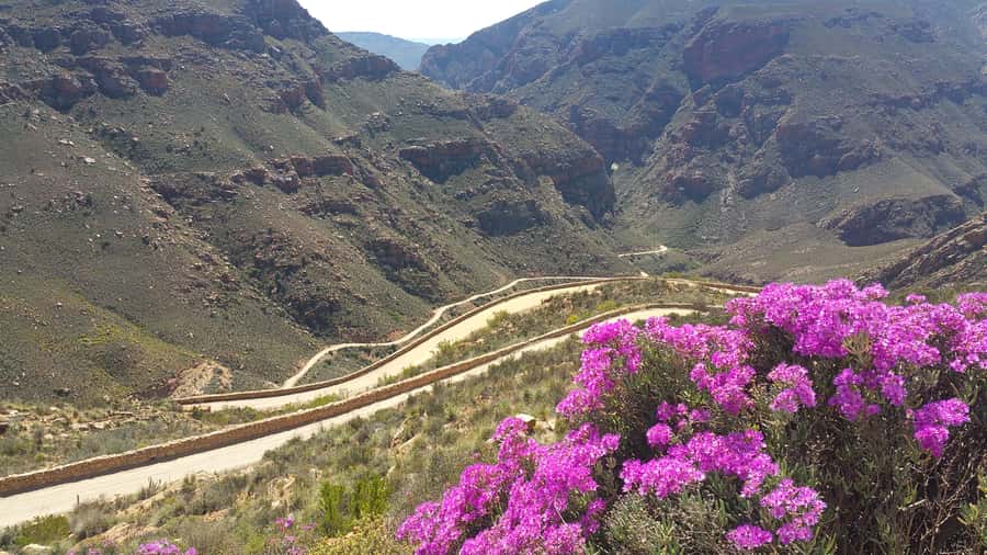 From Oudtshoorn: Full-Day Private Swartberg Mountain Tour - Private transport and guide style