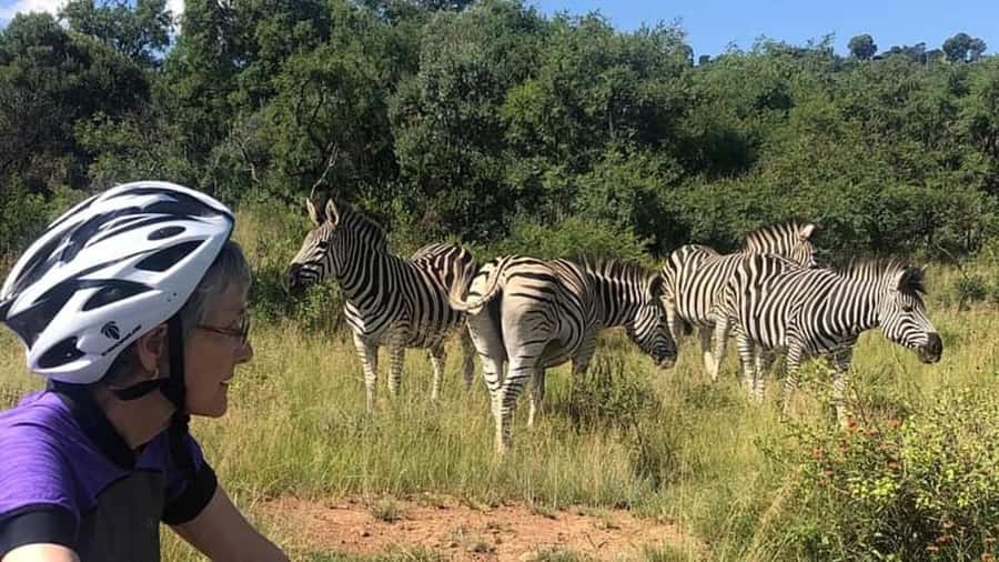 From Pretoria: E-Bike in the wild with game near Jo'burg - Key details before you book