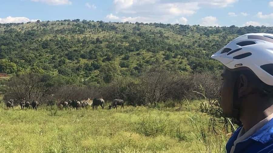 From Pretoria: E-Bike in the wild with game near Jo'burg - Why this e-bike safari near Pretoria is different