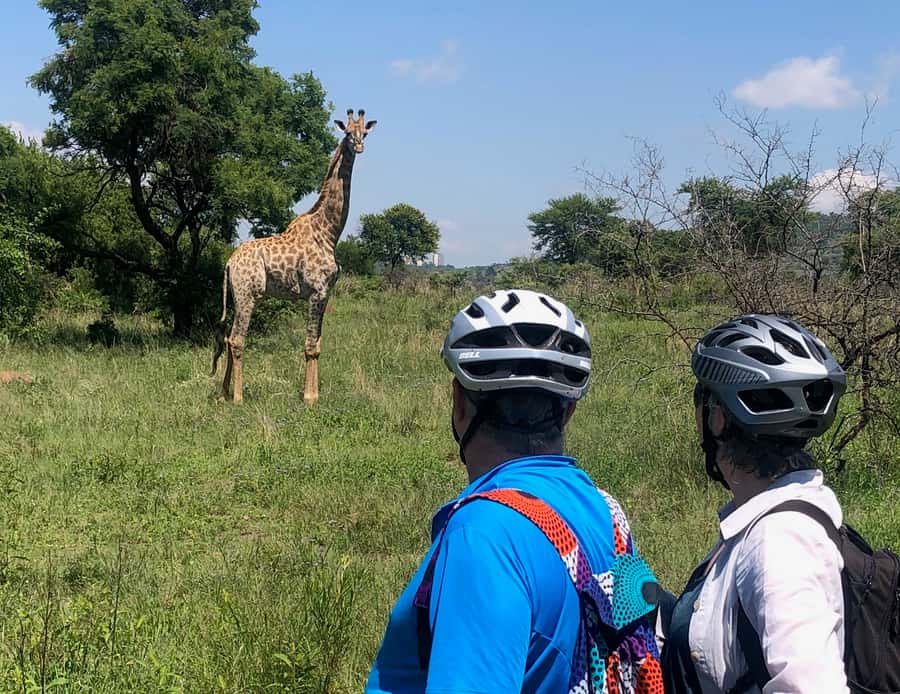 From Pretoria: E-Bike in the wild with game near Jo'burg - Wildlife encounters in the reserve
