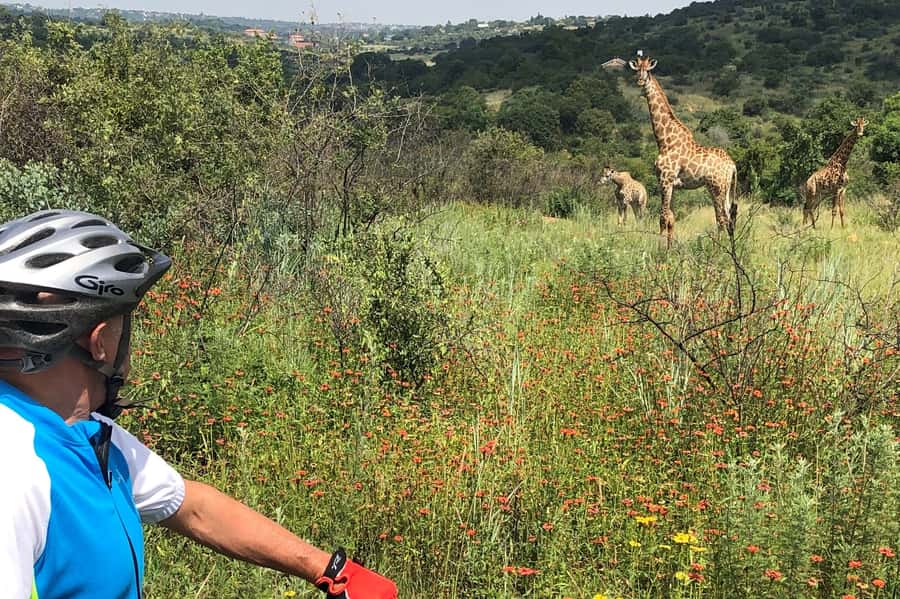 From Pretoria: E-Bike in the wild with game near Jo'burg - The e-bike itself and the physical effort