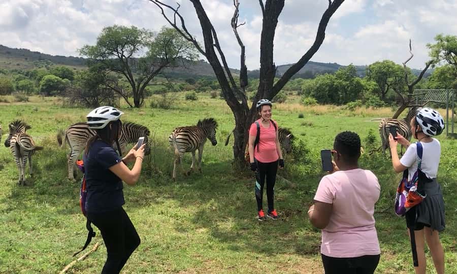 From Pretoria: E-Bike in the wild with game near Jo'burg - Tea, melktert, and a proper South African finish