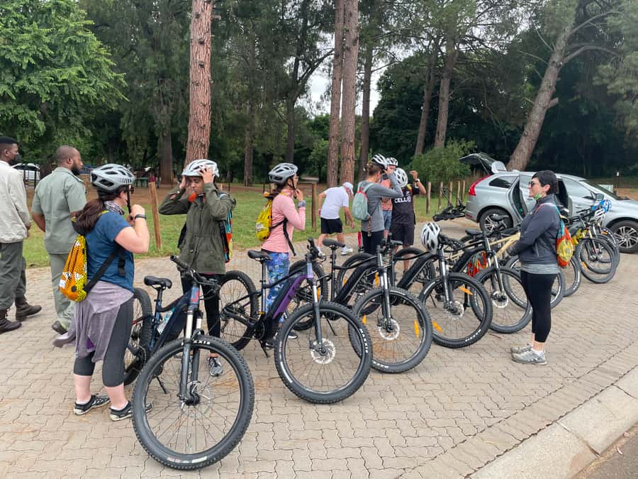 From Pretoria: E-Bike in the wild with game near Jo'burg - What the strongest praise tells you