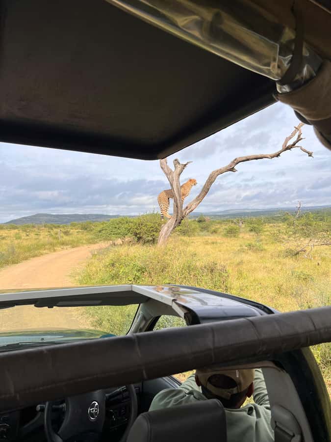 From St Lucia: 3 Day 2 Night Hluhluwe,St Lucia, iSimangaliso - Is the $383 price good value?