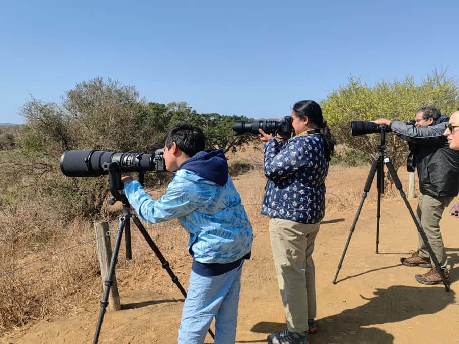 From St Lucia: Big 5 Safari in the Hluhluwe-Imfolozi Park - Key details before you book