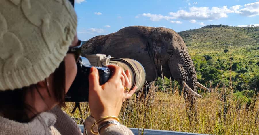 From St Lucia: Big 5 Safari in the Hluhluwe-Imfolozi Park - Why Hluhluwe iMfolozi Park is worth your day