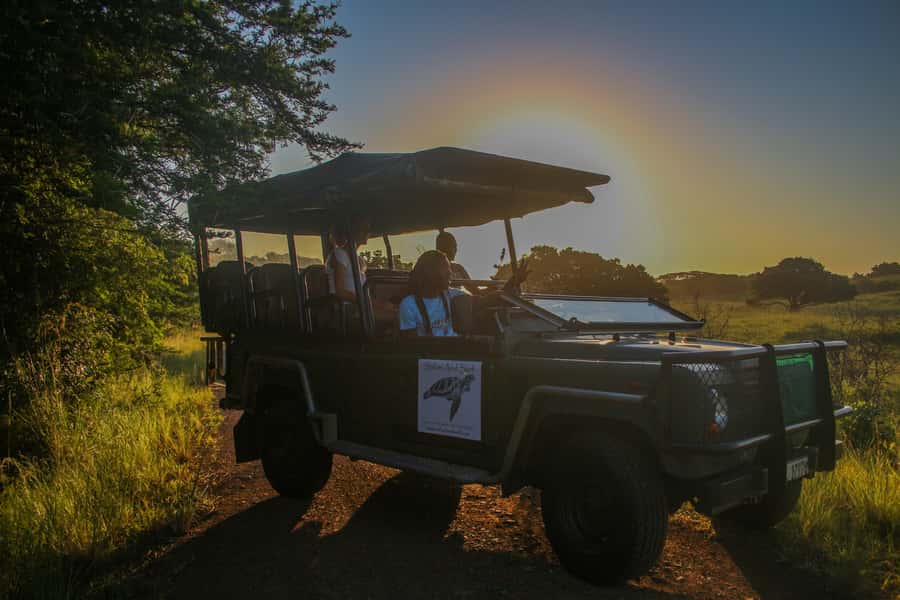 From St Lucia: Cape Vidal Full-Day Snorkeling Safari - Birdlife and the value of a slower drive