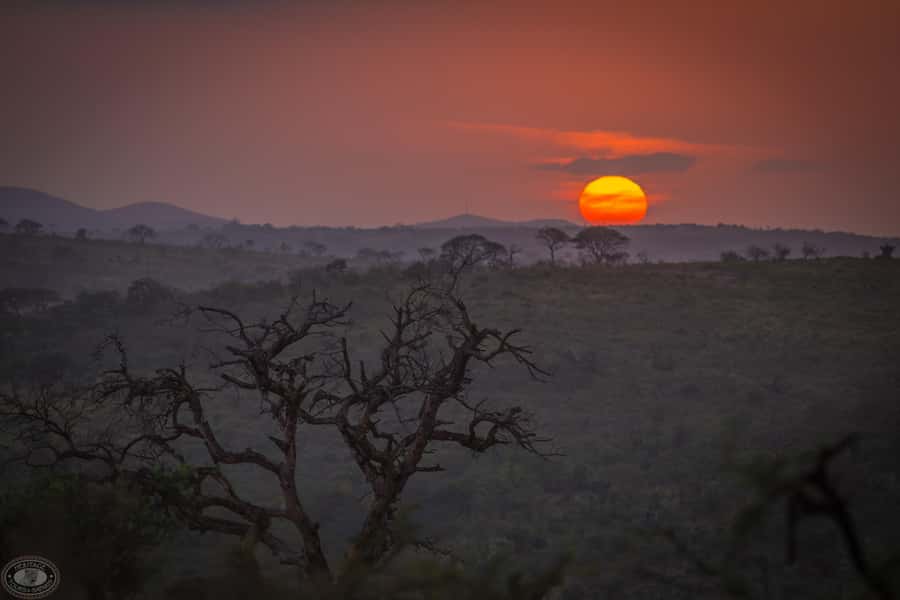 From St Lucia: iSimangaliso Sunset Safari - Wildlife you might see after the heat fades