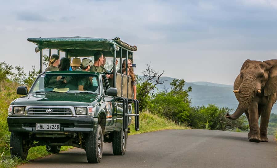 From St Lucia: iSimangaliso Sunset Safari - Is $39 good value for three hours?