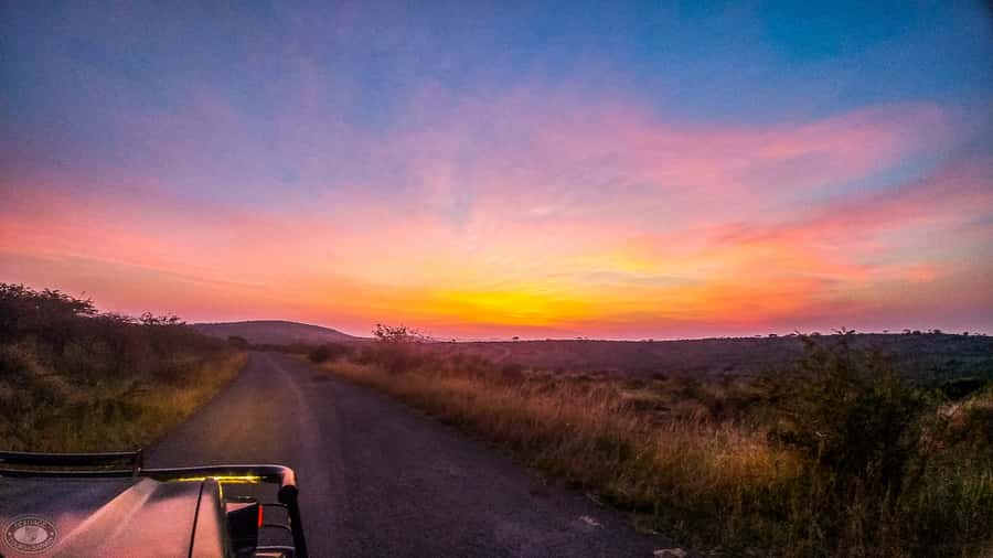 From St Lucia: iSimangaliso Sunset Safari - What a small Jeep group feels like