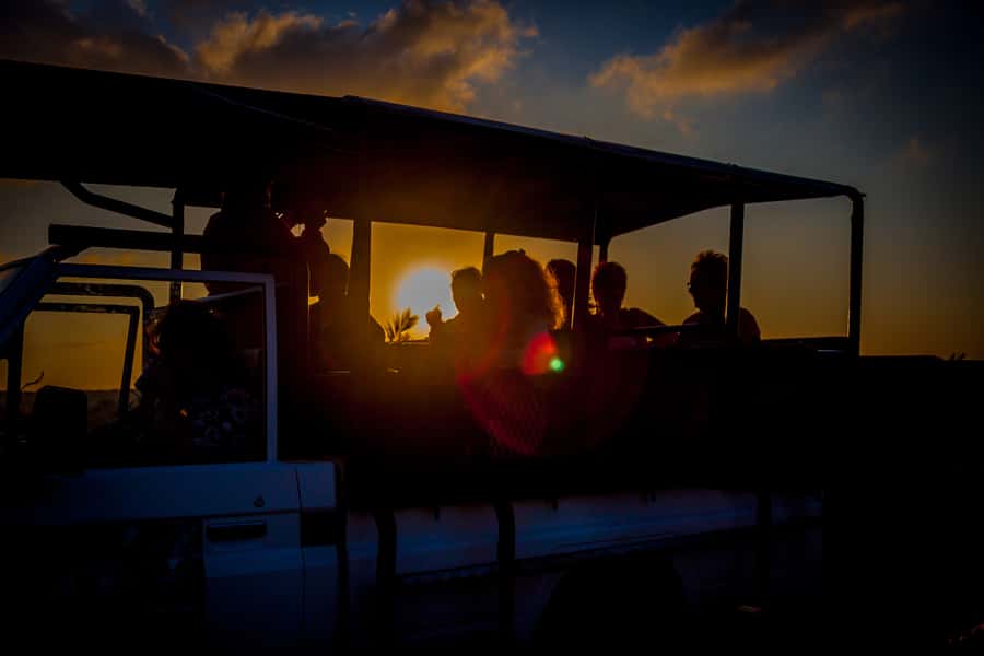 From St Lucia: iSimangaliso Wetland Park Night Drive Safari - Key points at a glance
