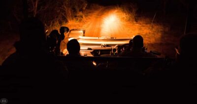 From St Lucia: iSimangaliso Wetland Park Night Drive Safari