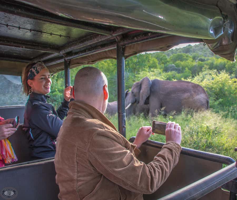 From St Lucia: iSimangaliso Wetland Park Night Drive Safari - The return to St Lucia
