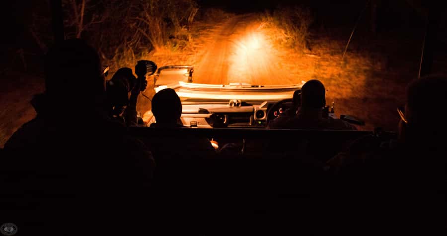 From St Lucia: iSimangaliso Wetland Park Night Drive Safari - Three hours inside iSimangaliso Wetland Park
