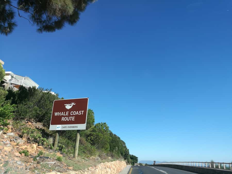 From Stellenbosch: Hermanus Whale Route Tour - Key points at a glance