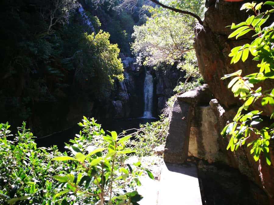 From Stellenbosch: Hermanus Whale Route Tour - The optional boat trip and rough-sea reality