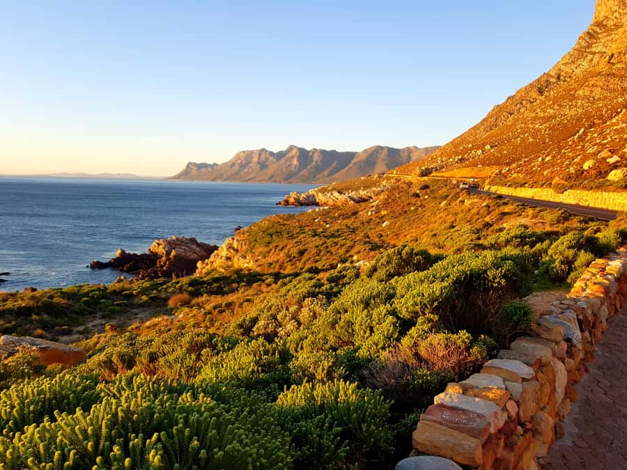 From Stellenbosch: Hermanus Whale Route Tour - Is $520 good value for two people?