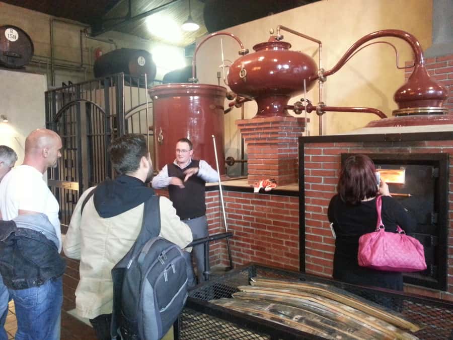 From Stellenbosch: Hop-On Hop-Off Wine Tour Southern Route - What the $29 price really covers