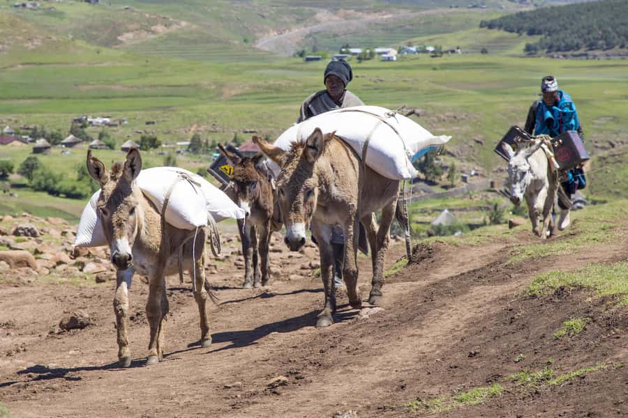 From Underberg: Extended Lesotho Day Tour - 9.5hrs - The return over Sani Pass