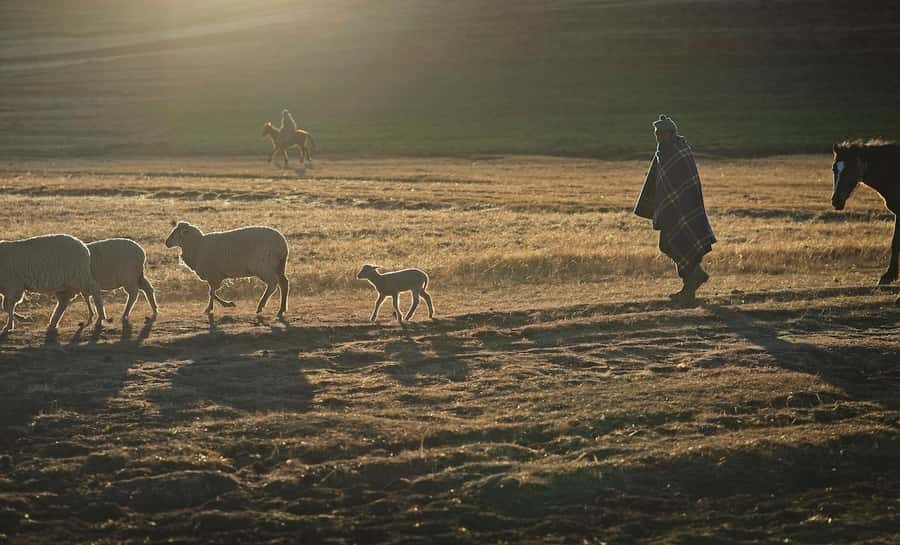 From Underberg: Sani Pass Private Day Tour - Meeting Basotho people in a traditional village