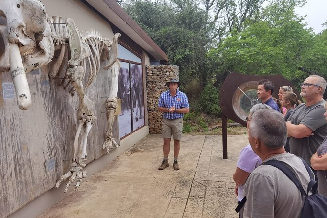 Full-Day Addo Elephant Park & Giraffe Walk - Walking near giraffes at Addo Afrique