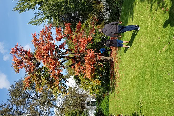 Full Day Afrivista Wine Tours from Stellenbosch - Kanonkop: a serious first look at the region