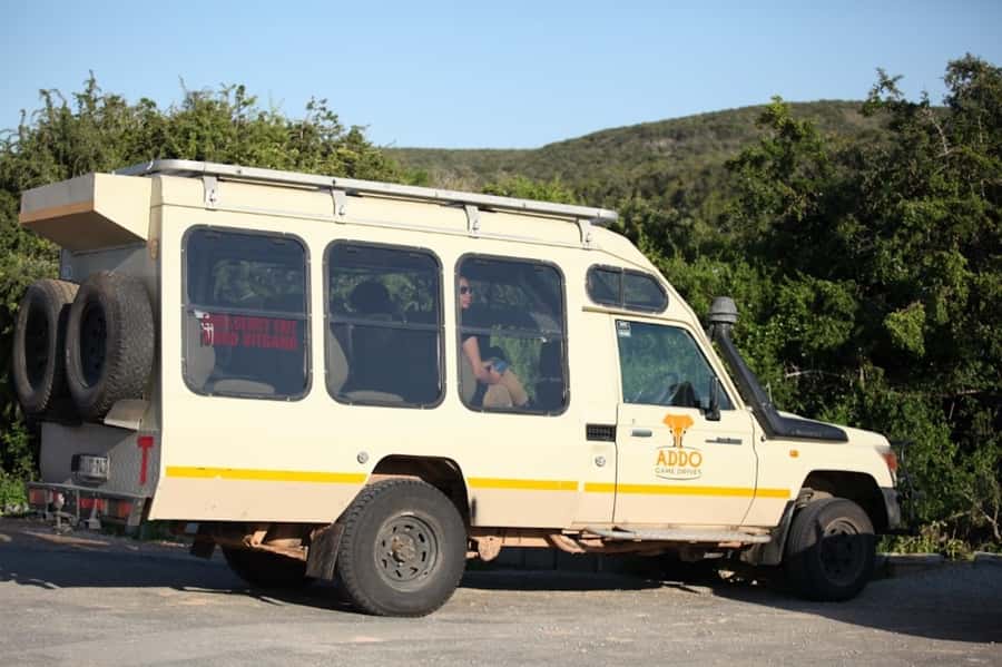 Full-Day All Inclusive Safari with Traditional Braai Lunch - Pickup from Port Elizabeth or Colchester